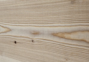 Canadian Larch Thumbnail 1